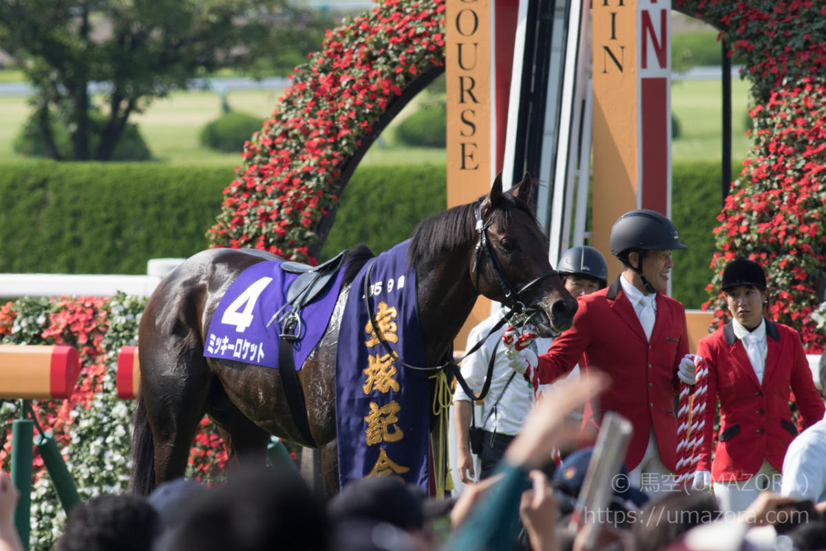 （レア物）名馬 ミッキーロケット 宝塚記念優勝記念ブルゾン レア物）名馬 ミッキーロケット 宝塚記念優勝記念ブルゾン